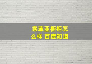 索菲亚橱柜怎么样 百度知道